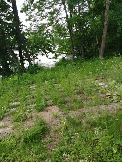 City of Emily Municipal Park - Emily, MN