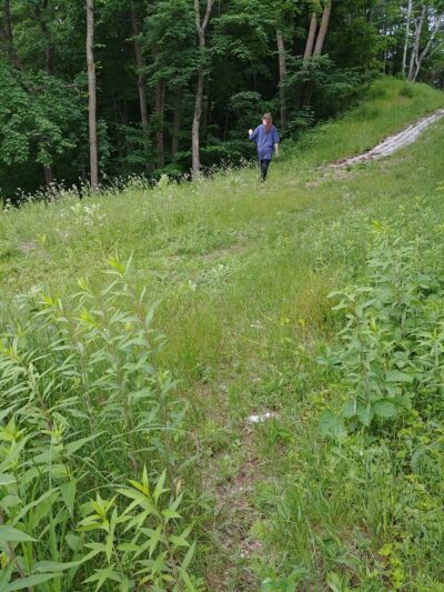 City of Emily Municipal Park - Emily, MN