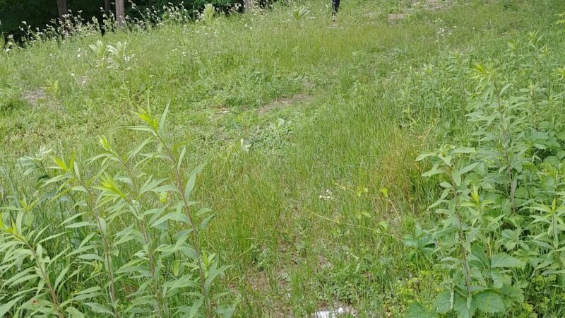 City of Emily Municipal Park - Emily, MN