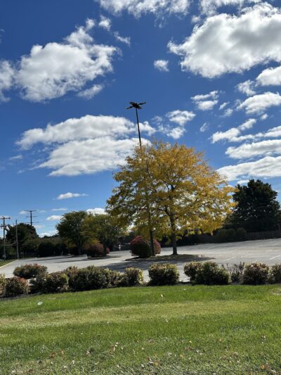 Boroline Park - Emmaus, PA