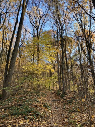 Boroline Park - Emmaus, PA