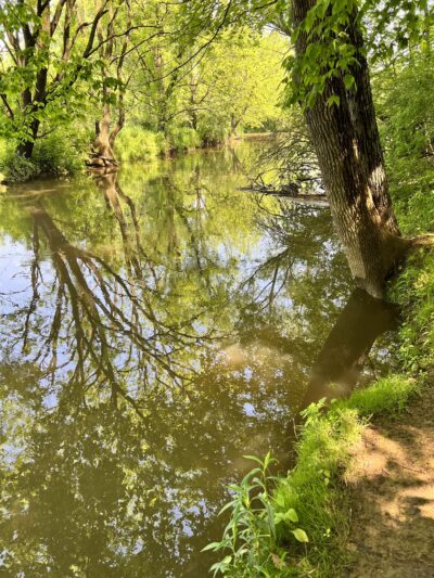 Camp Olympic Park Disc Golf Course - Emmaus, PA