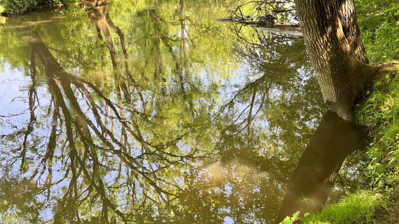 Camp Olympic Park Disc Golf Course - Emmaus, PA