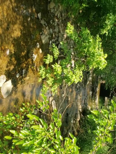 Emmaus Community Park - Emmaus, PA