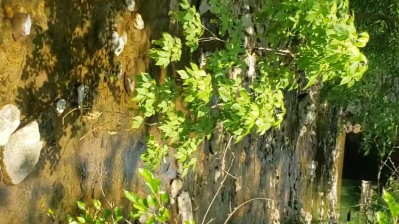 Emmaus Community Park - Emmaus, PA