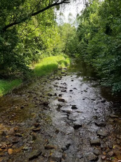 Emmaus Community Park - Emmaus, PA