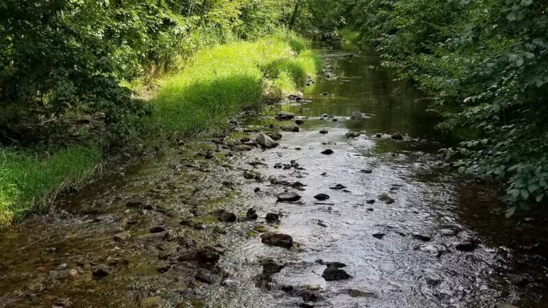 Emmaus Community Park - Emmaus, PA