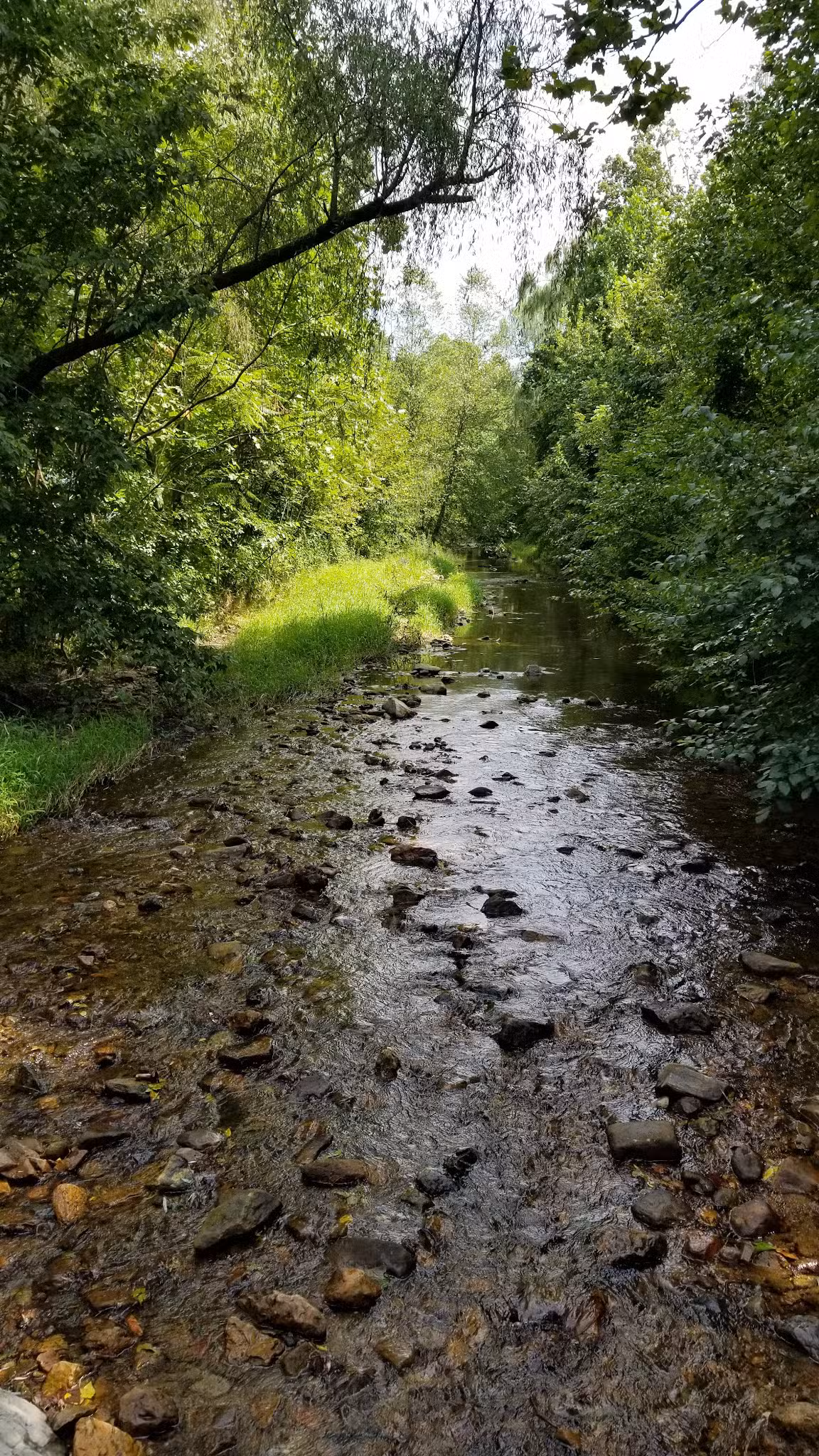 Emmaus Community Park - Emmaus, PA