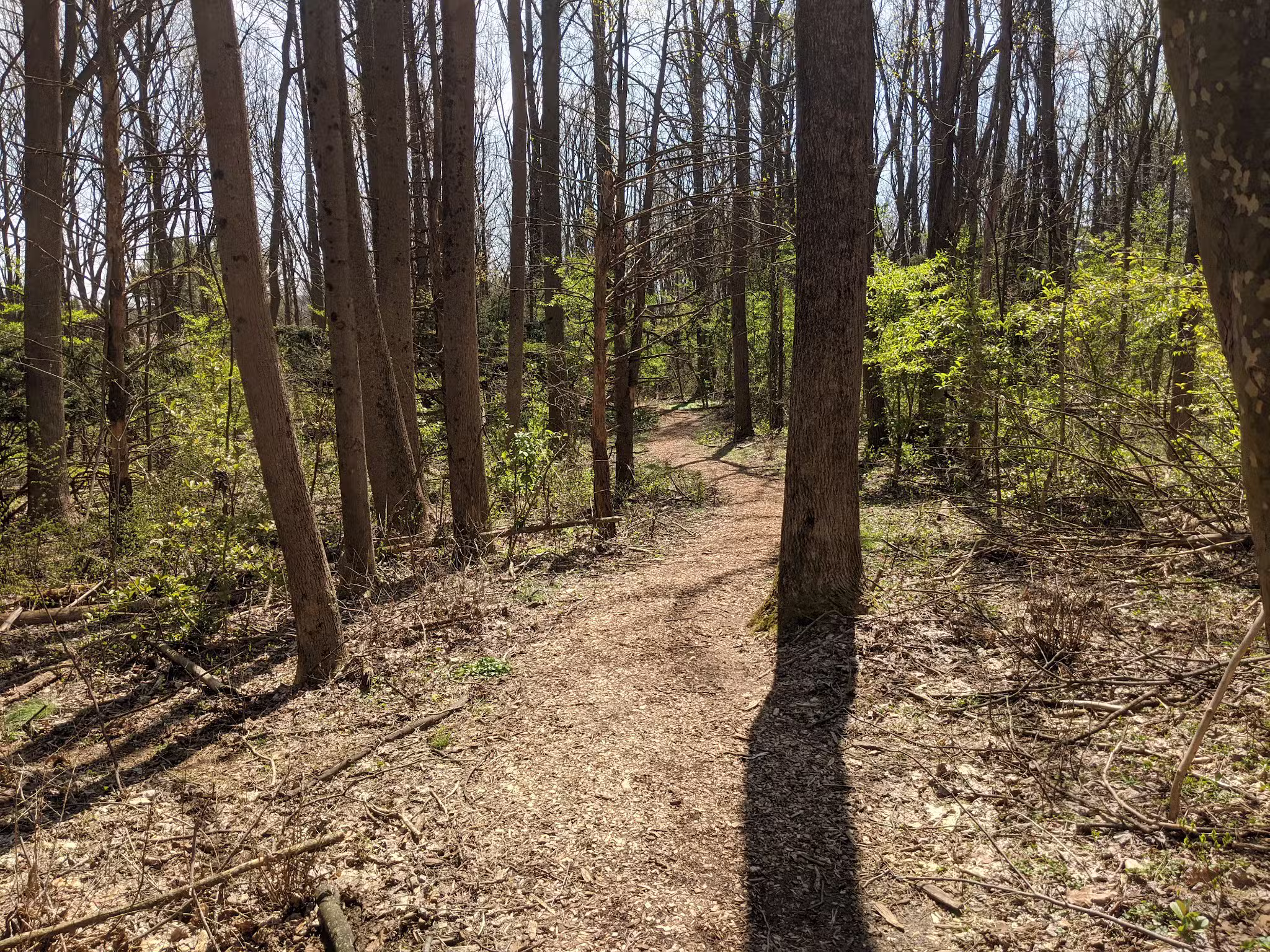 Wildlands Conservancy - Emmaus, PA
