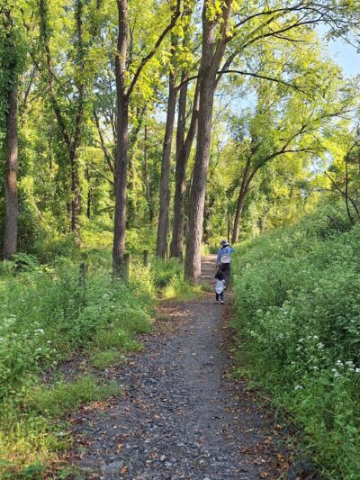 Wildlands Conservancy Buehler Memorial Park - Emmaus, PA