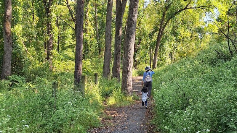 Wildlands Conservancy Buehler Memorial Park - Emmaus, PA