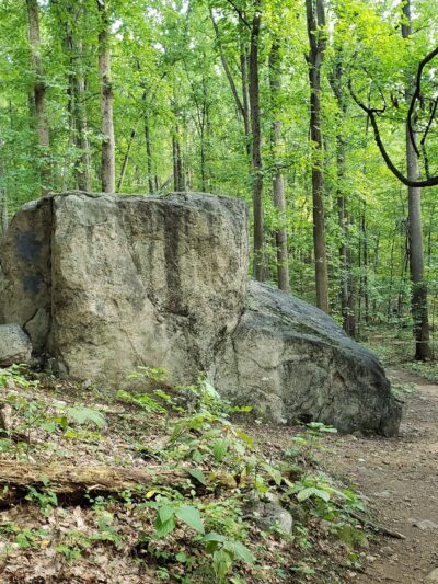 Wildlands Conservancy’s South Mountain Preserve - Emmaus, PA