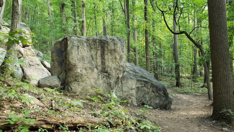 Wildlands Conservancy’s South Mountain Preserve - Emmaus, PA
