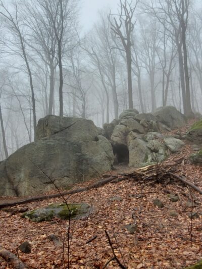 Wildlands Conservancy’s South Mountain Preserve - Emmaus, PA