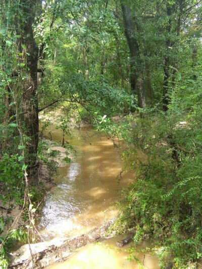 Parks & Wildlife Department - Emory, TX