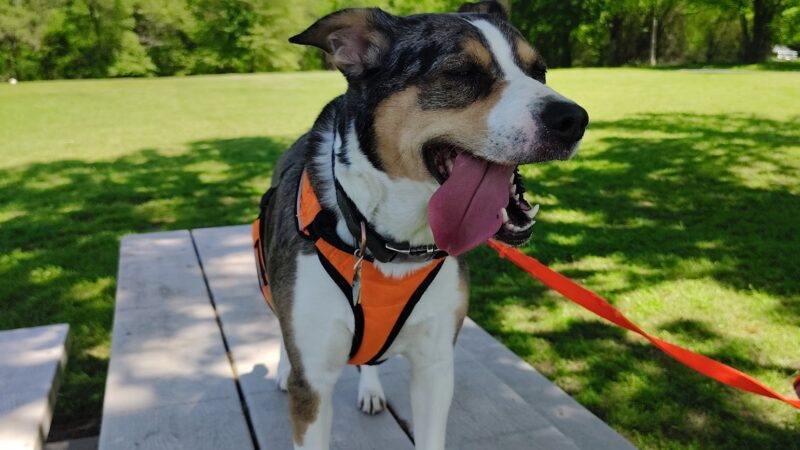 Sandy Creek Park - Emory, TX