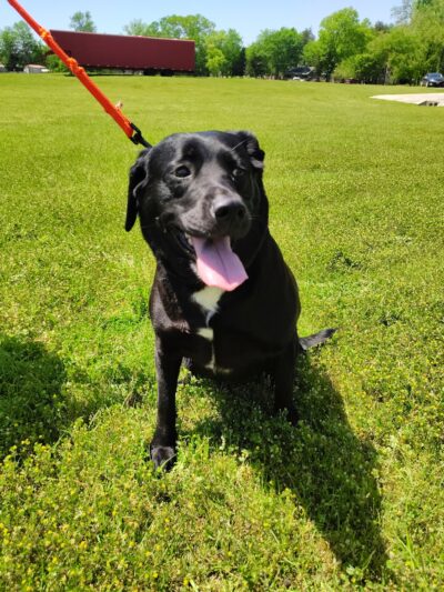Sandy Creek Park - Emory, TX