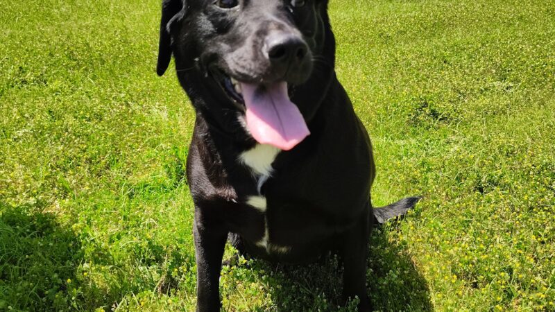 Sandy Creek Park - Emory, TX