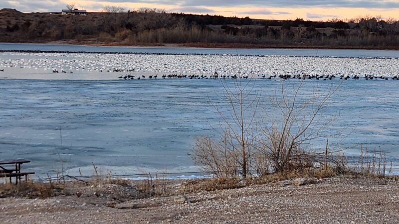 Enders Reservoir - Enders, NE