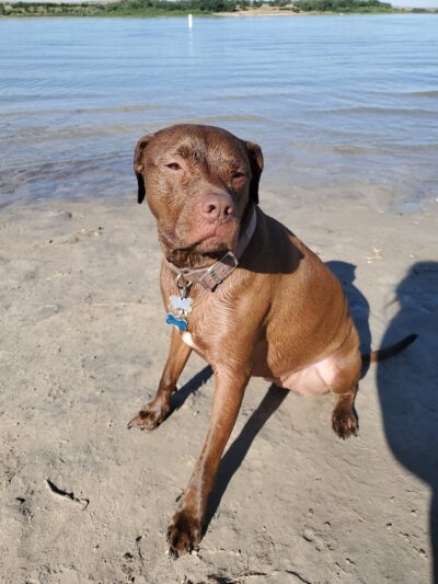 Enders Reservoir - Enders, NE
