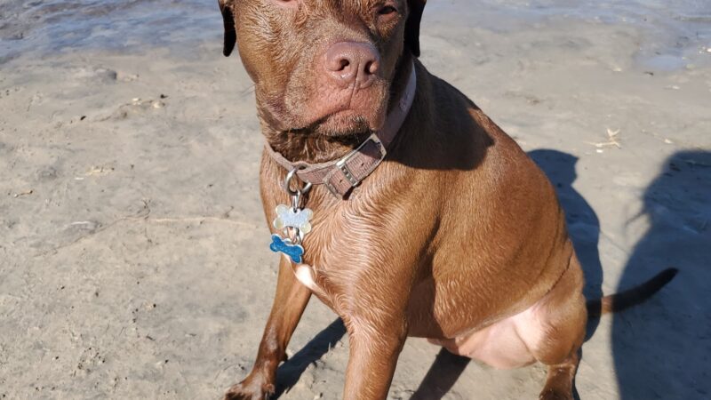 Enders Reservoir - Enders, NE