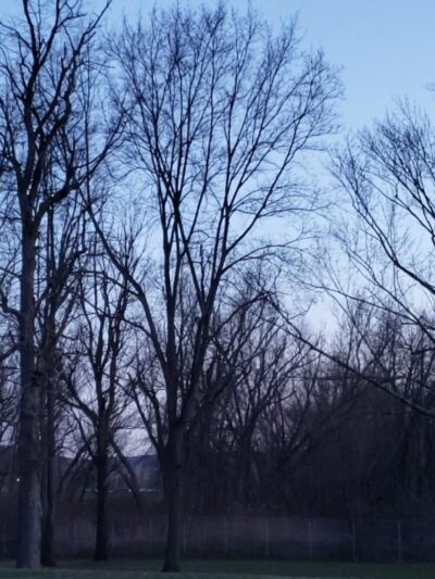 Glendale Park - Endicott, NY