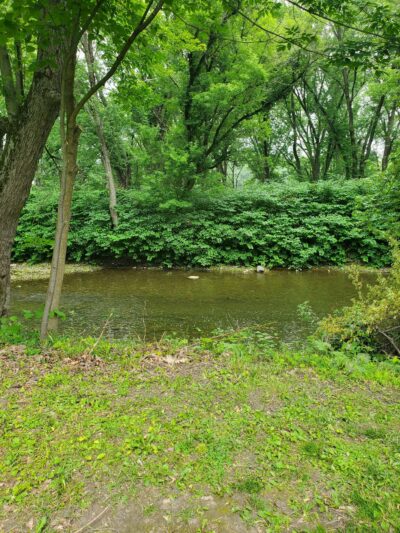 Glendale Park - Endicott, NY