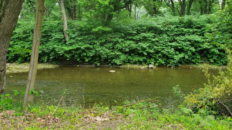 Glendale Park - Endicott, NY