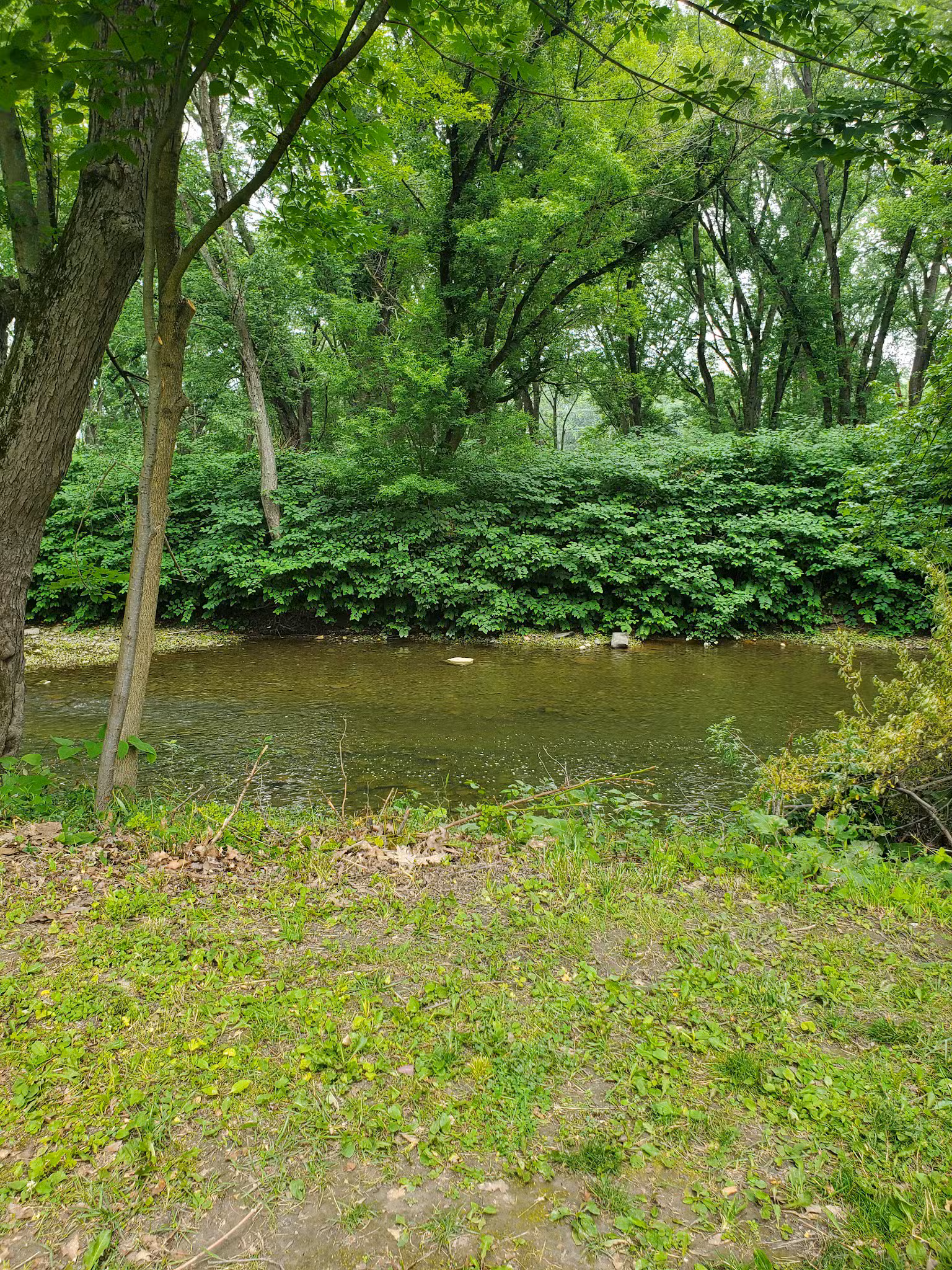 Glendale Park - Endicott, NY