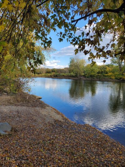 Grippen Park - Endicott, NY