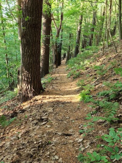 Roundtop Picnic Area - Endicott, NY