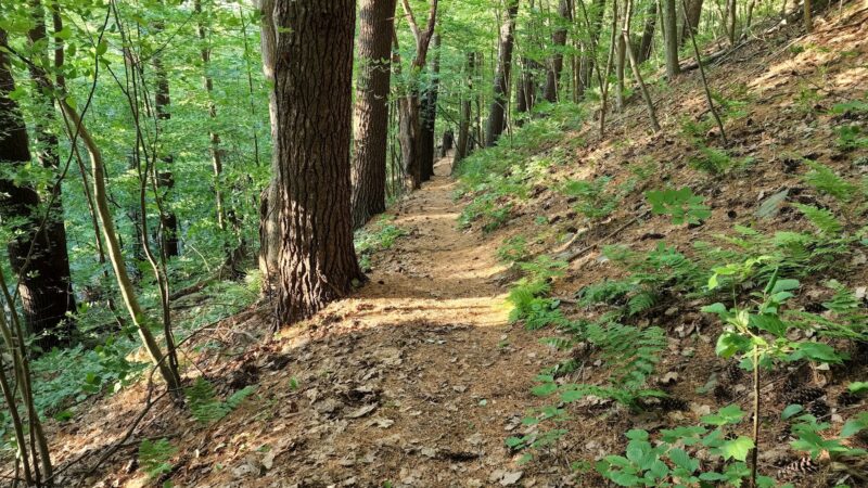 Roundtop Picnic Area - Endicott, NY