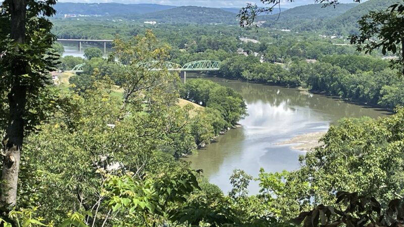 Roundtop Picnic Area - Endicott, NY