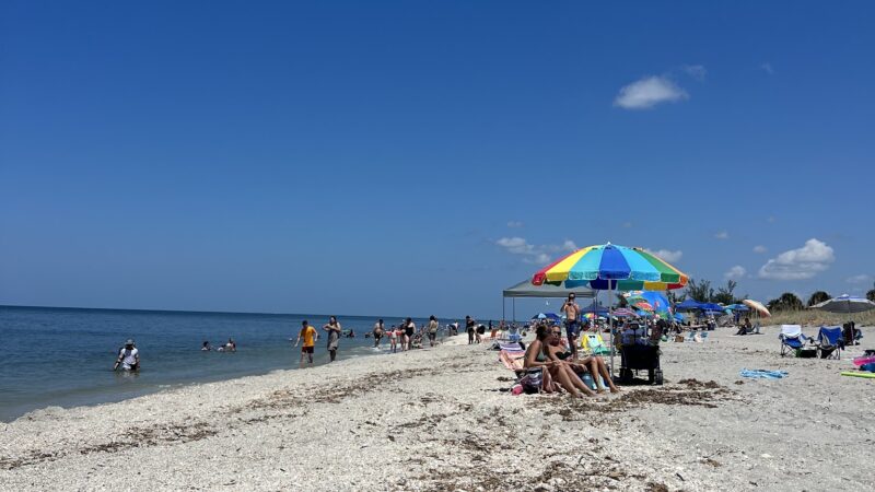 Englewood beach - Englewood, FL
