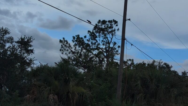 Englewood East Park - Englewood, FL