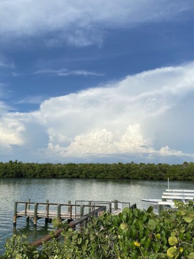 Lemon Bay Aquatic Preserve - Englewood, FL