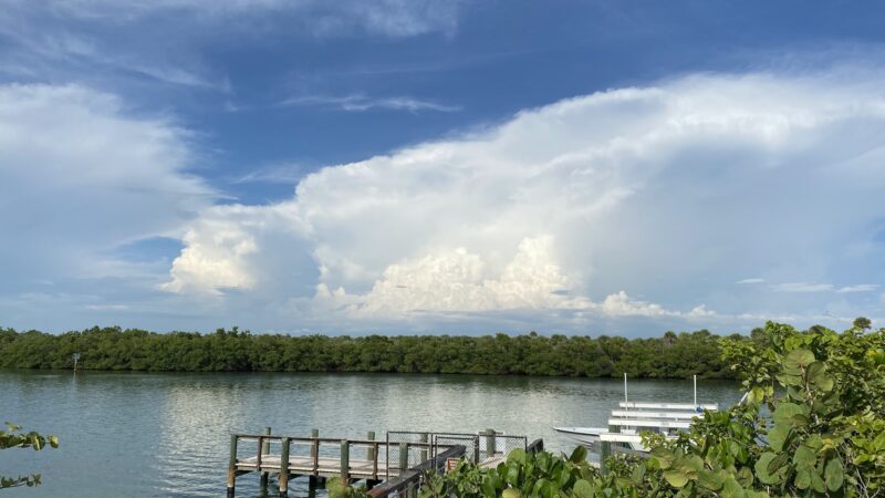 Lemon Bay Aquatic Preserve - Englewood, FL