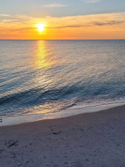 Lemon Bay Aquatic Preserve - Englewood, FL