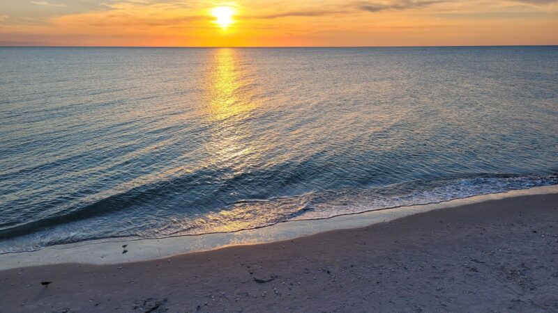 Lemon Bay Aquatic Preserve - Englewood, FL