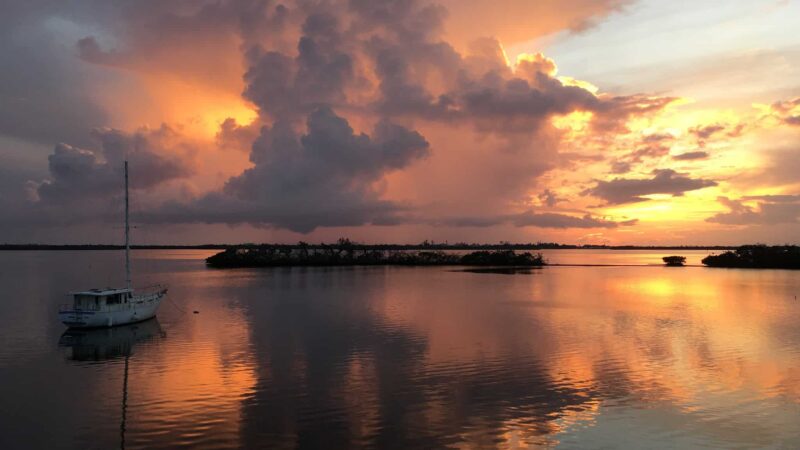 Lemon Bay Aquatic Preserve - Englewood, FL