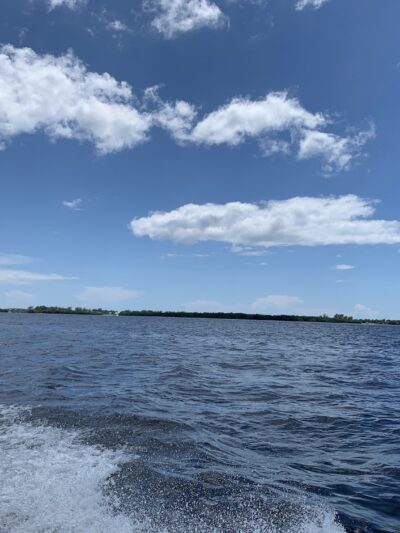 Lemon Bay Aquatic Preserve - Englewood, FL