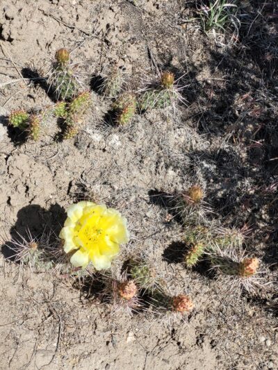 Canyon View Park - Ephraim, UT