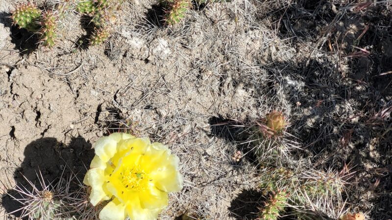 Canyon View Park - Ephraim, UT
