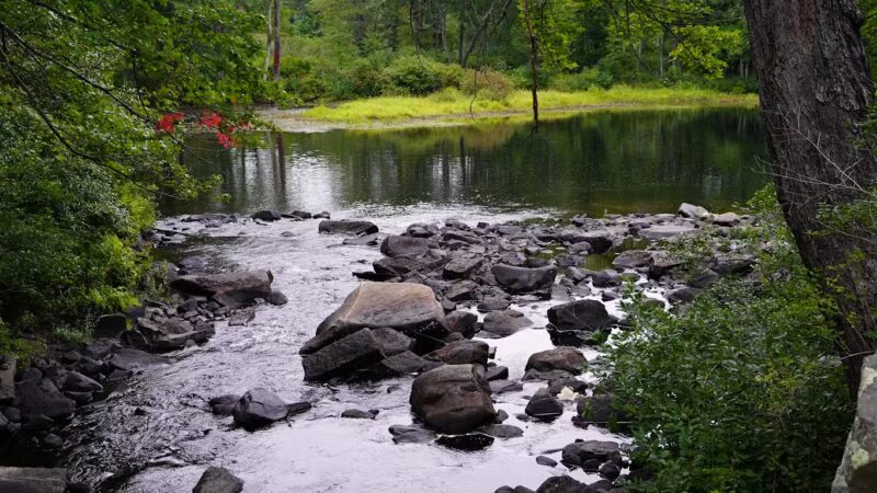 Mary Blair Park - Epping, NH