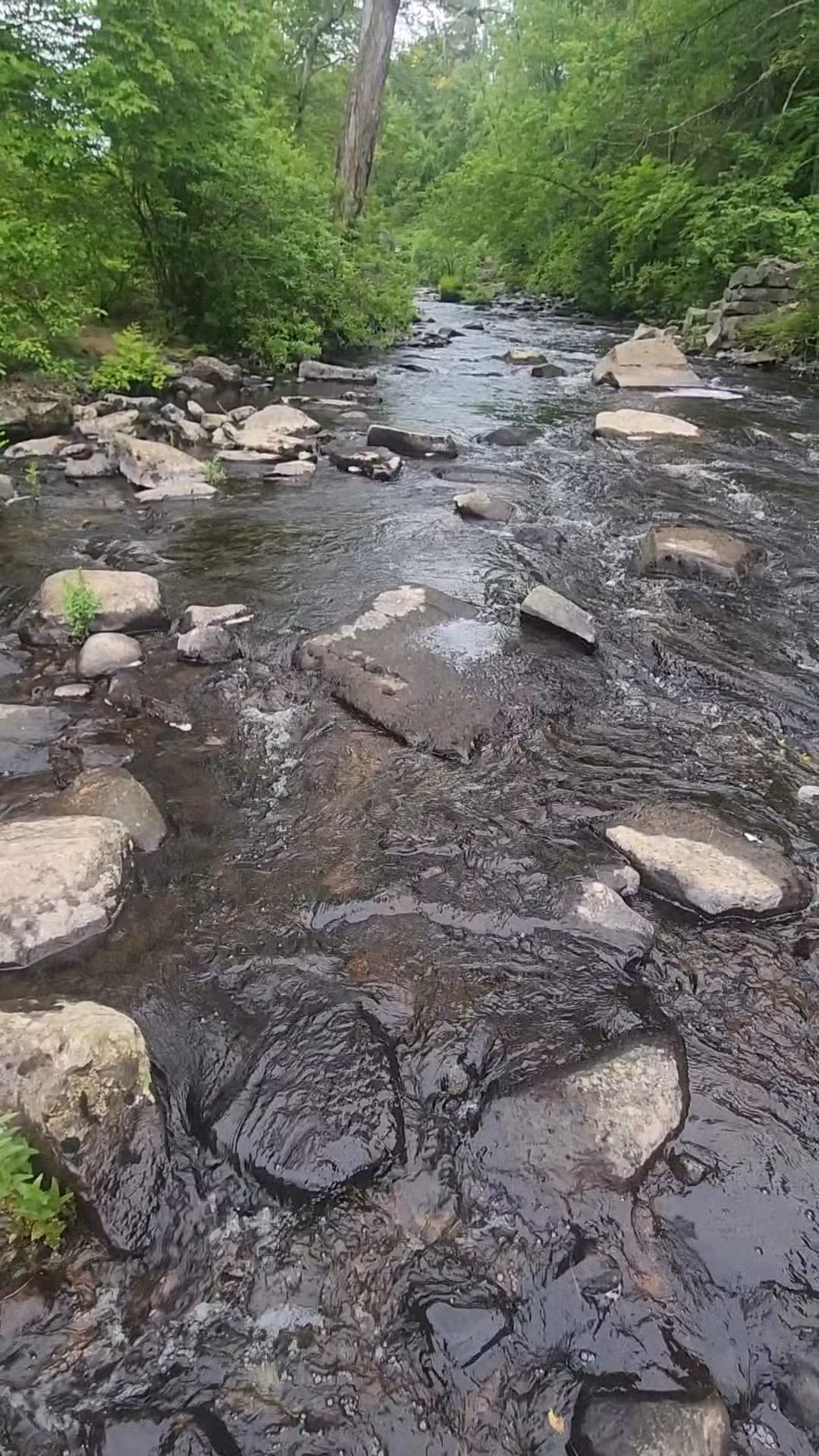 Mary Blair Park - Epping, NH