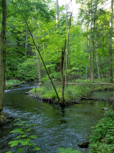 Black Creek Preserve - Esopus, NY