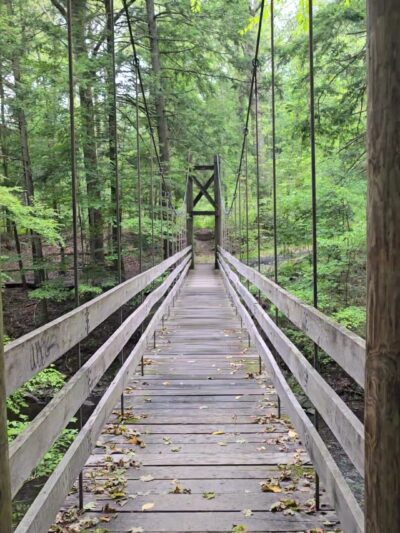 Black Creek Preserve - Esopus, NY