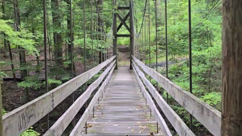 Black Creek Preserve - Esopus, NY