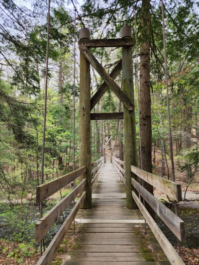 Black Creek Preserve - Esopus, NY