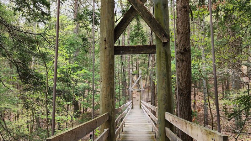 Black Creek Preserve - Esopus, NY